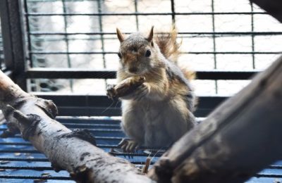 BAŞKENTİN EN SEVİMLİ YÜZLERİ