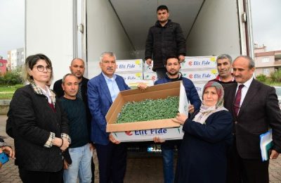 Başkan Karalar’dan Köylüye Domates Fidesi Desteği