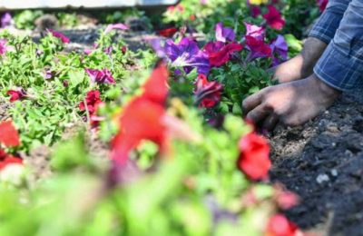 BAŞKENT GÜZELLEŞİYOR