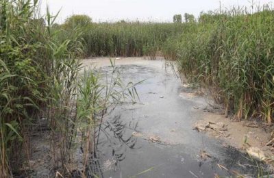 İMAMOĞLU : YAPAMIYORLARSA İŞİ, BIRAKSINLAR BİZ YAPALIM