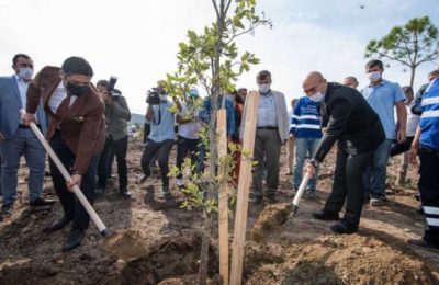 Artık İzmirli muhtarların da dikili bir ağacı var