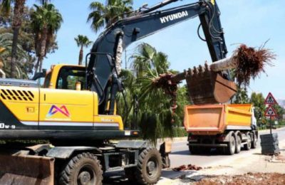 Bisiklet Yolu Proje Alanındaki Palmiyeler Taşınıyor