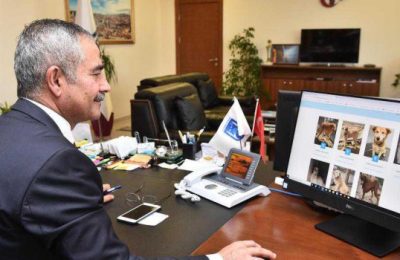 BÜYÜKŞEHİR BELEDİYESİNDEN HAYVAN DOSTU YENİ UYGULAMA: EPATİ