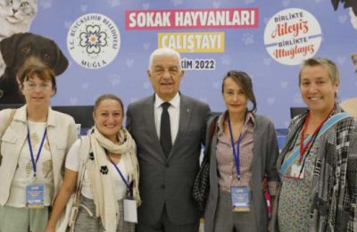 Sokak Hayvanları Çalıştayının Sonuç Bildirgesi Yayınlandı