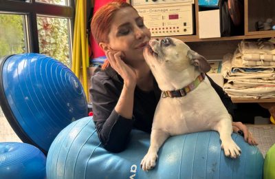 Obez köpek ‘Ori’ pilatesle zayıflıyor